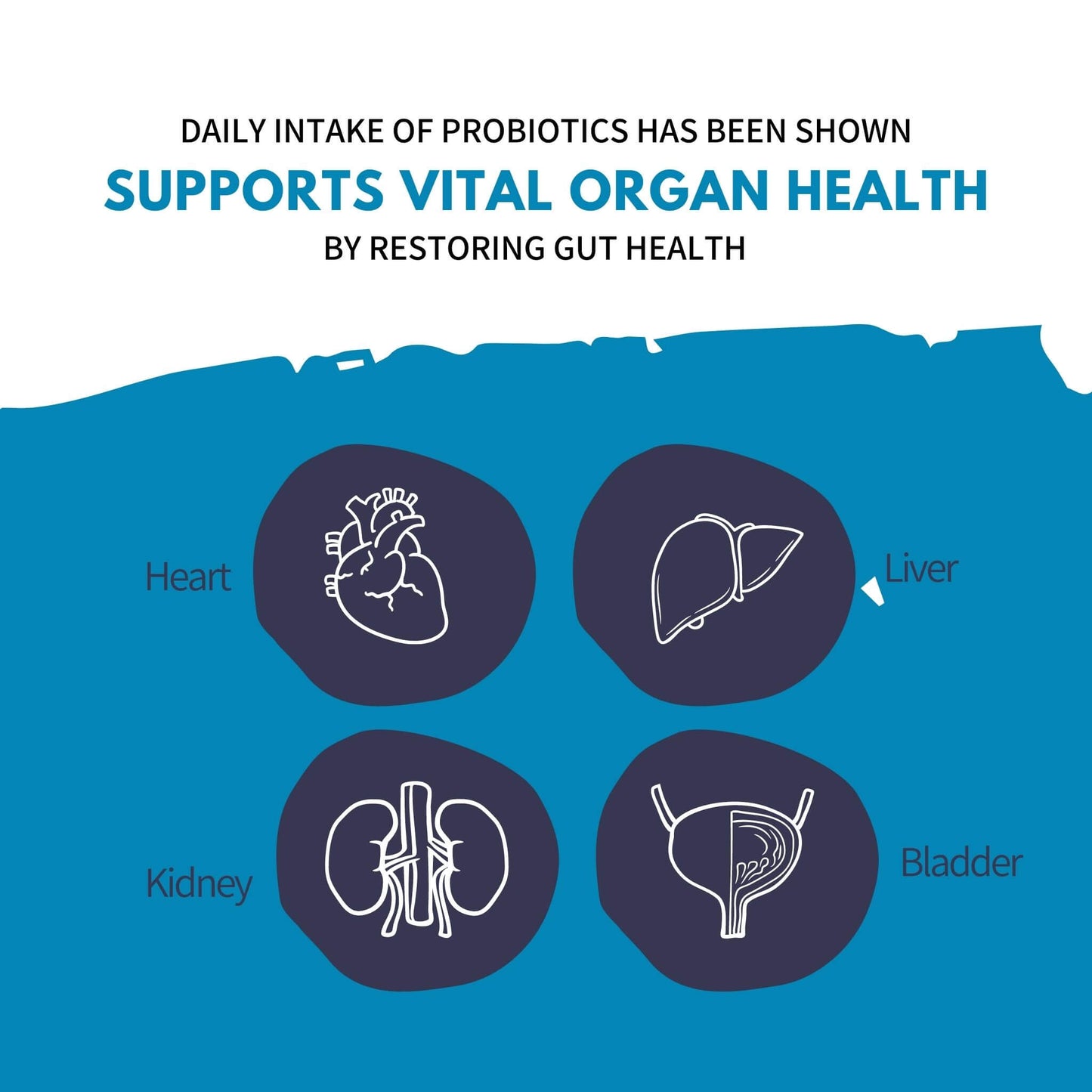 Projoy Overall Metabolic Health Wellness Probiotics