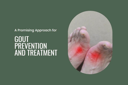 A Promising Approach for Hyperuricemia and Gout Prevention and Treatment.
