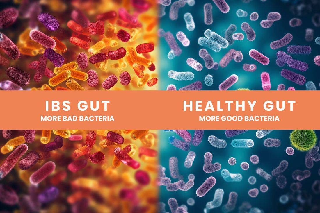 Nurturing Digestive Harmony: Unveiling the Potential of Probiotics for IBS Relief