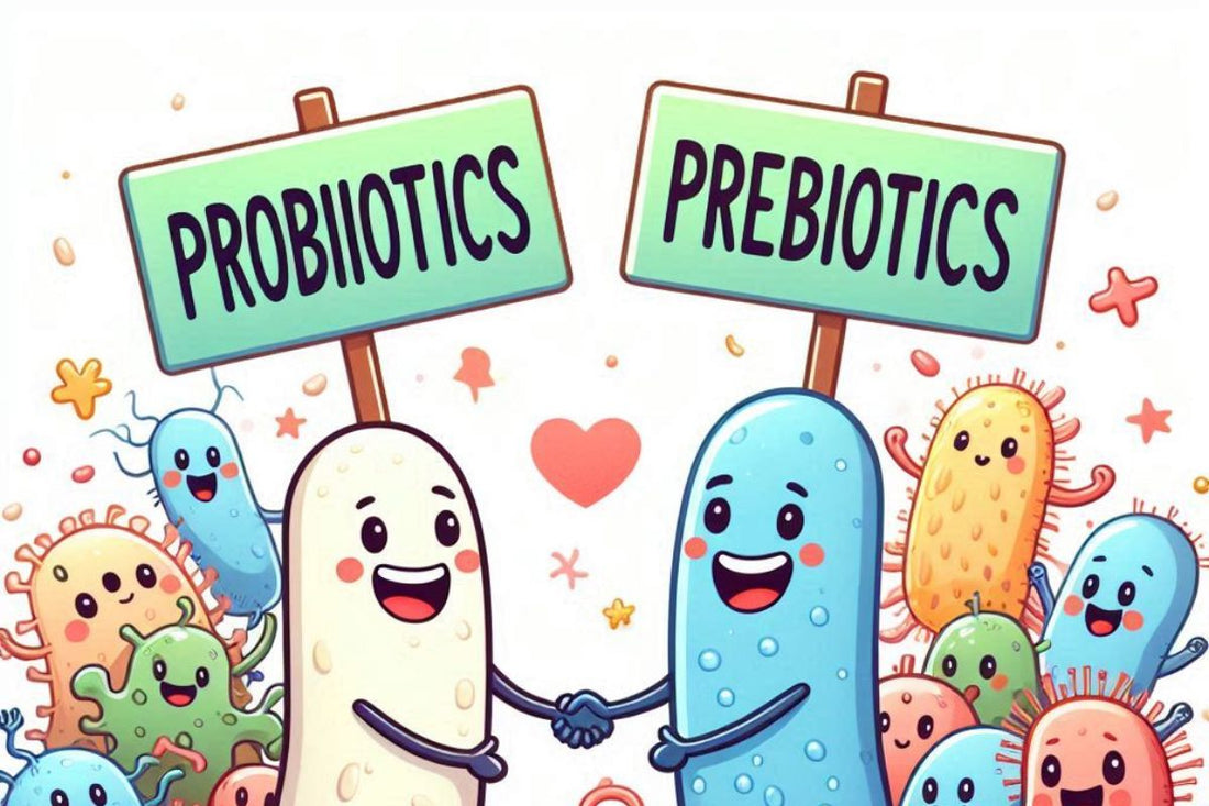 Discover the Power of Probiotics: Your Ultimate Guide to Gut Health with Projoy