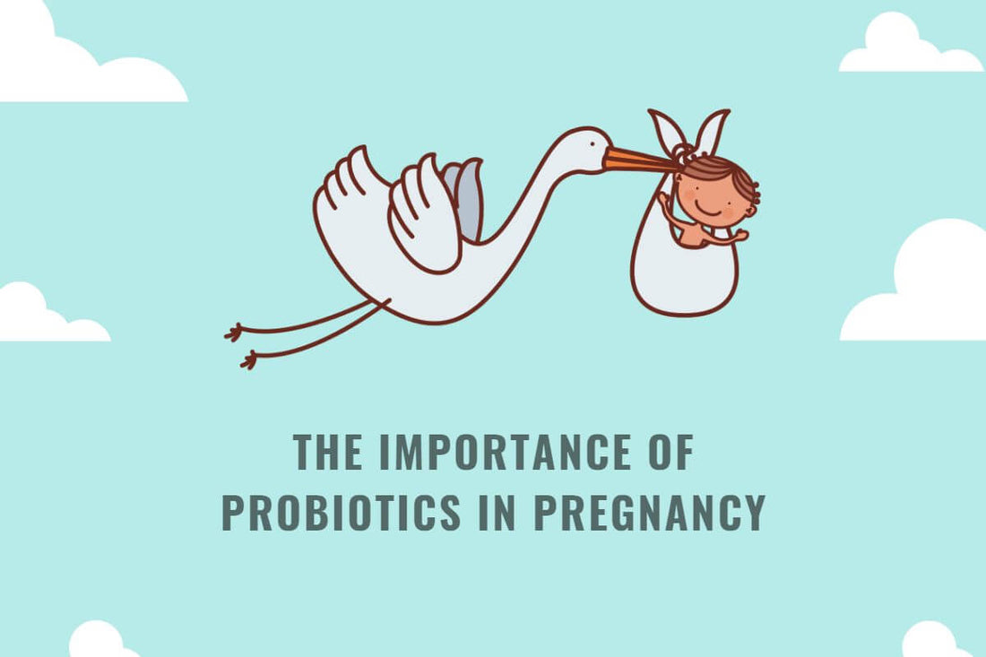 Probiotics for Healthy Pregnancy and Lactation