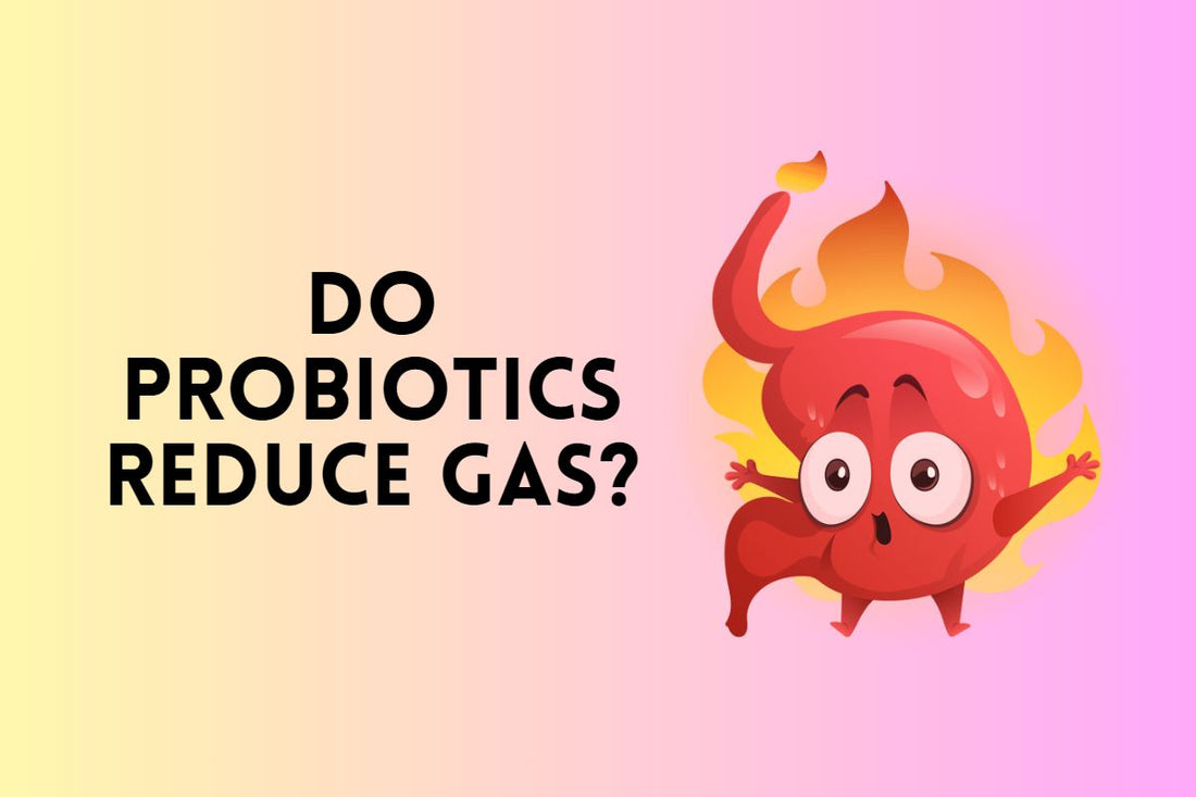 Do Probiotics Reduce Gas?